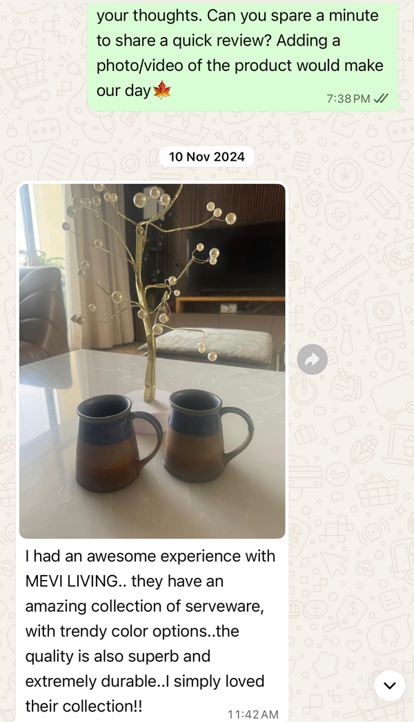 Customer WhatsApp review
