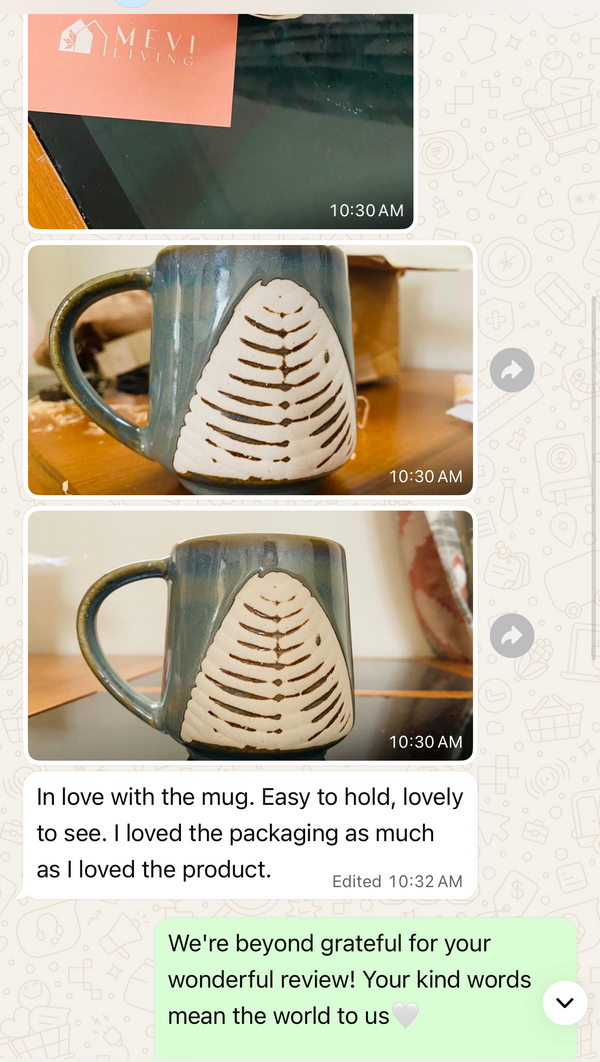 Customer WhatsApp review