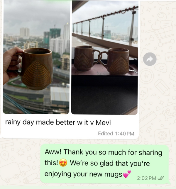 Customer WhatsApp review