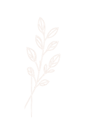Leaf Illustration